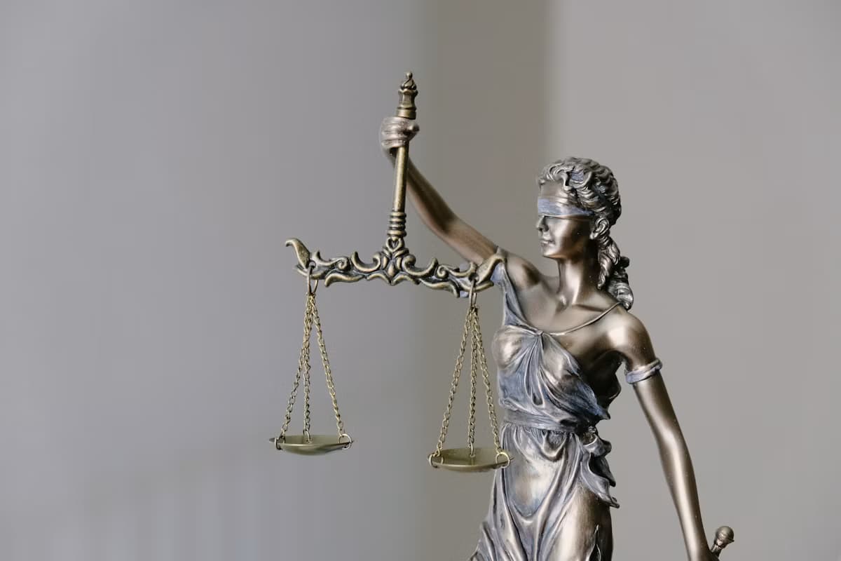 Martelo de Leiloeiro e Decisões Judiciais